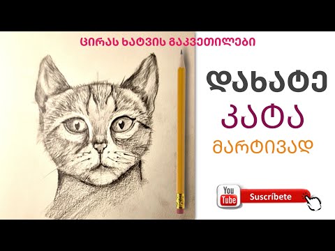 როგორ დავხატოთ კატა? ფისო|| HOW to DRAW a cat|| step by step|| for beginners