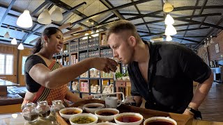 Sri Lanka's Finest Tea Factory (Kandy) 🇱🇰