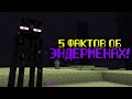 5 ФАКТОВ ОБ ЭНДЕРМЕНАХ - Майнкрафт