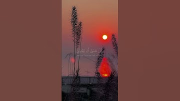 واذكر ربك إذا نسيت وقل عسى أن يهدين ربي🤲 قرآن كريم🤲القارئ محمد صديق المنشاوي