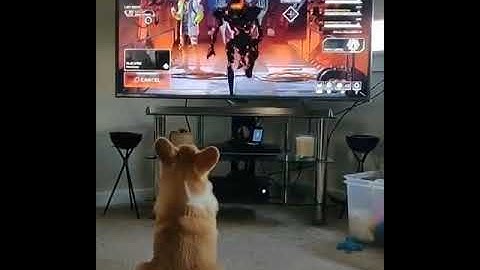 apex legends flashbacks