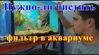 Нужно ли чистить фильтр в аквариуме