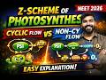 Z-Scheme of Photosynthesis 🔥 | Cyclic vs Non-Cyclic Electron Flow Explained for NEET 2026