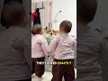 Corgi's Confusion: Can't Tell the Twins Apart 🐕👶👶 #shortvideo