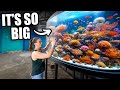 Mom suprised with beautiful aquarium