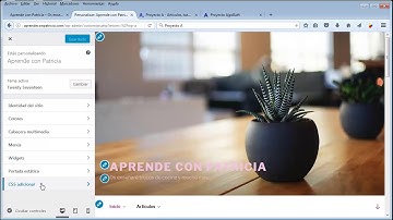 Modificar estilo visual CSS de sitio web WordPress permanentemente
