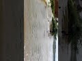 Water flow in Canal near Raketla, Gummagatta mandal. Anantapur District 21 November 2021