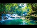 Relaxing Music For Stress Relief, Anxiety and Depressive States • Heal Mind, Body and Soul