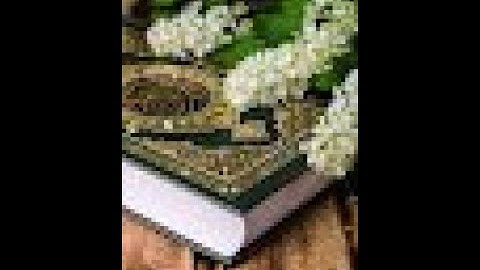 47الأحقاف  مسجد النور سورة الأحقاف الشيخ مصطفى اللاهونى