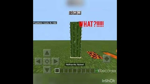 MINECRAFT LOGIC #2