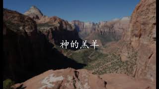 神的羔羊-小羊詩歌-林婉容