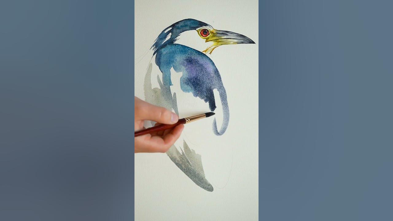 Black-crowned Night Heron watercolor