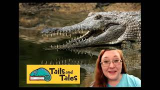Sign up for Summer Reading: Tails & Tales 2021!