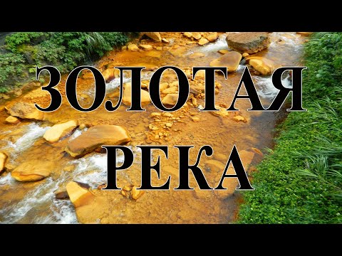 видео: Золотой песок золотой реки