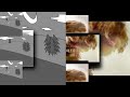 7 Shuric Scans With Are Slides (The Scanner Edition)