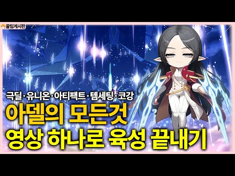 메이플스토리 아델 직업 가이드: 육성, 스킬, 템 세팅 완벽 정리