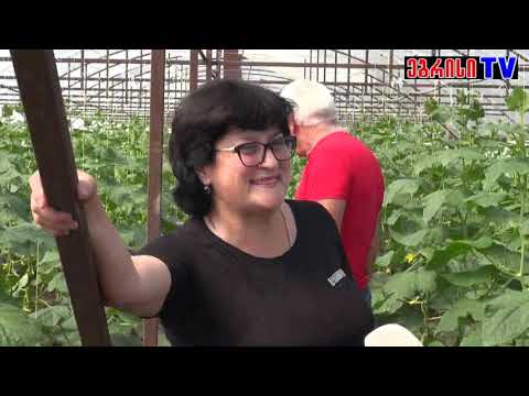 ფერმერი  ქალი  აბაშიდან