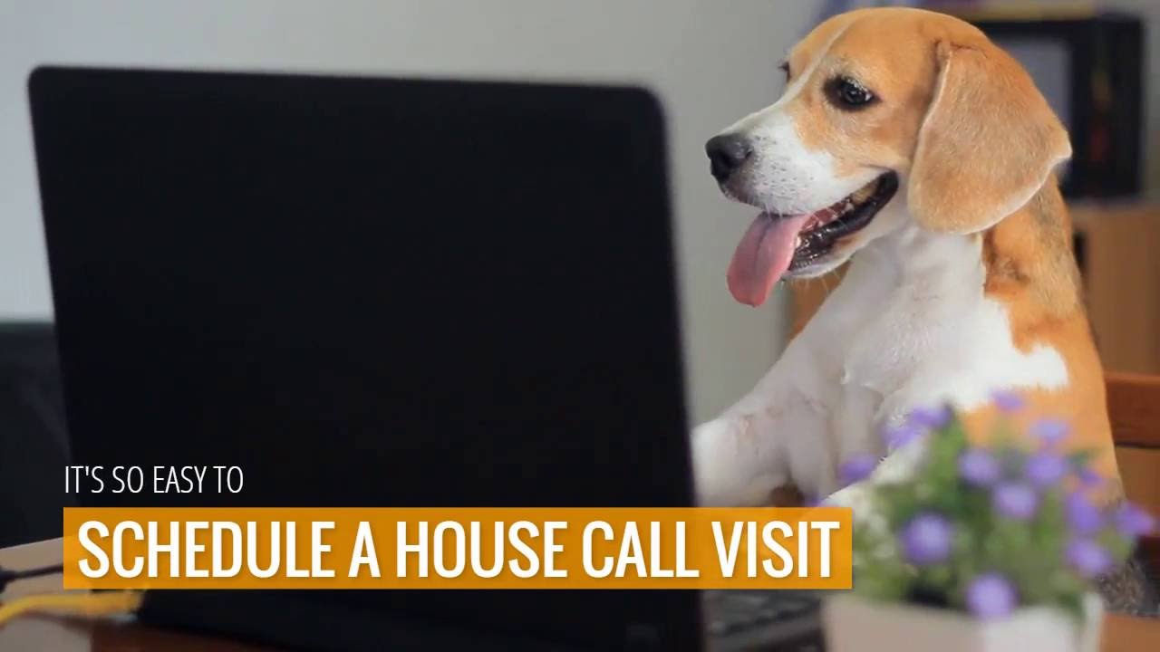 The Village Vet House Calls For Your Pet YouTube