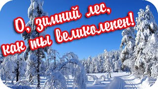 О, Зимний Лес, Как Ты Великолепен!..🌸 Что Может Быть Чудесней?...🌸Прекрасная Мелодия Саксофона...🌸