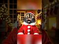 🙀Santa Cat’s Misfortunes🎅 #cat #aicat #kitten #funny #catvideo #catlover #christmas #cutecat