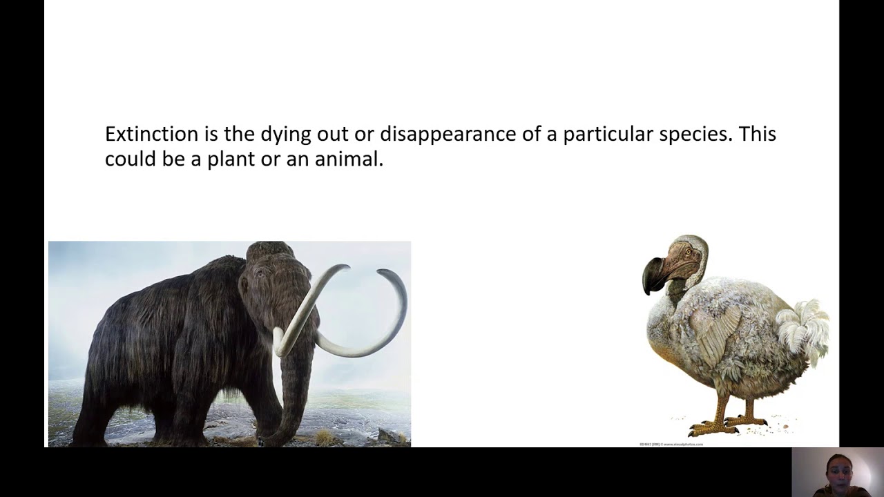 Outdoor Learning   Year 3   Lesson 1