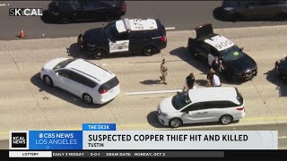 Suspected copper thief hit, killed on 55 FWY while running from police