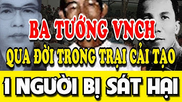 LÝ DO ĐAU XÓT 3 Tướng VNCH QUA ĐỜI ngay trong TRẠI CẢI TẠO | Tin Nhanh Lịch Sử