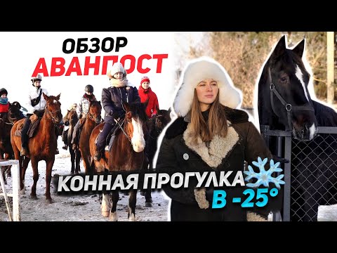 АВАНПОСТ ОБЗОР / конная прогулка на льду / поролон под сёдлом / ферма для лошадей