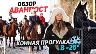 АВАНПОСТ ОБЗОР / конная прогулка на льду / поролон под сёдлом / ферма для лошадей