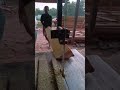 #shorts #woodworking #woodcarving #sawmill