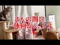 2人の間に生じた決定的な誤解とは...！？