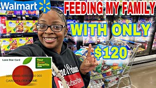 WALMART FOOD STAMP SHOPPING HAUL | FEEDING A FAMILY OF 5 WITH MY LAST  $120 + NEW EASTER DECOR