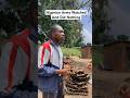 The Truth Of What Happened In Benue 亞 Nigeria Benue Shorts The Truth Of What Happened In Benue 亞 Nigeria Benue Shorts