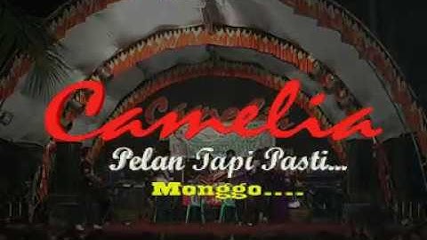 Camelia Krasak Part 2 # 19 Perpisahan  Ayu Lestari