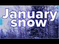 January Snow - British Columbia, Canada