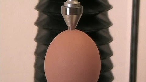 Cone Penetration into an egg with TAXTPlus Texture Analyzer