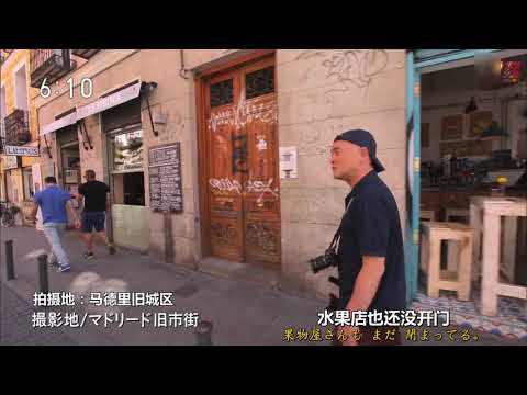 相武紗季