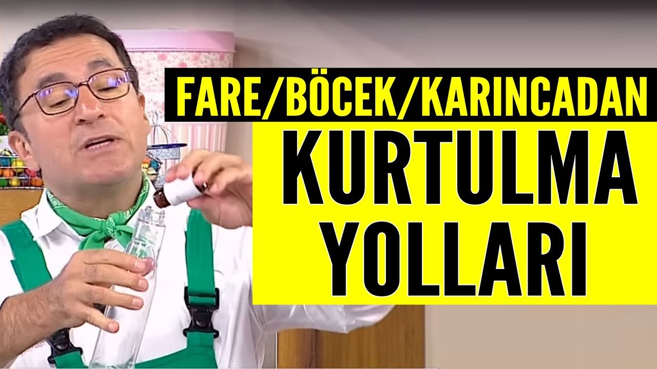 evde bocek fare ve karincadan kurtulma yollari youtube