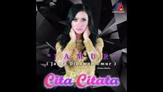 Cita Citata - Jamur (Janda Dibawah Umur) (House Mix)