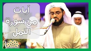 تلاوة عذبة عطرة من سورة النمل بصوت القارئ رعد محمد الكردي