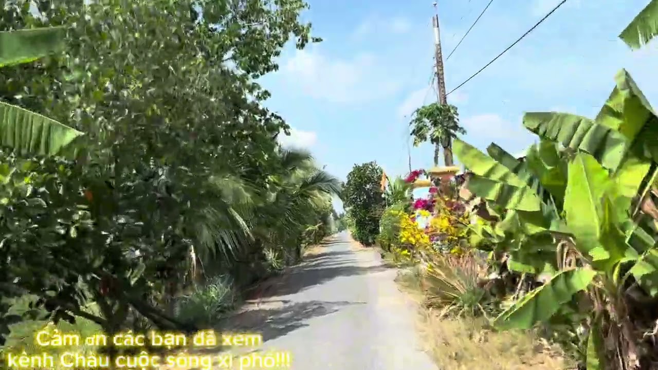 1-2￼ con đường bình Hòa Trung 🇻🇳￼￼