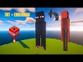 In minecraft i build enderman and exploded with tnt