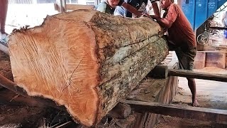 the process of sawing old giant teak wood which is full of fiber and expensive