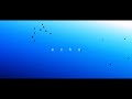 【二次創作】echo feat.初音ミク/higma【文字PV合作】