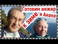 Как мы собирали малину 2 декабря и провели подготовку к морозам в Анапе/ Чтоб инжир перезимовал