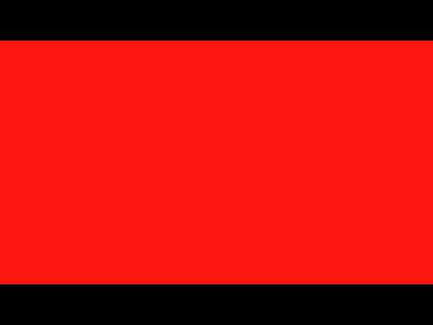 Bun — Albatross - Fumitake Tamura (Bun)