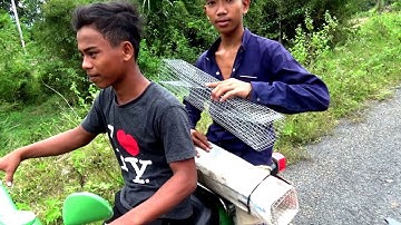 Clip hướng dẫn đường đi đến vách đá Đầu Voi núi Cô Tô - Núi Tô, Tri Tôn, An Giang 15/12/2018