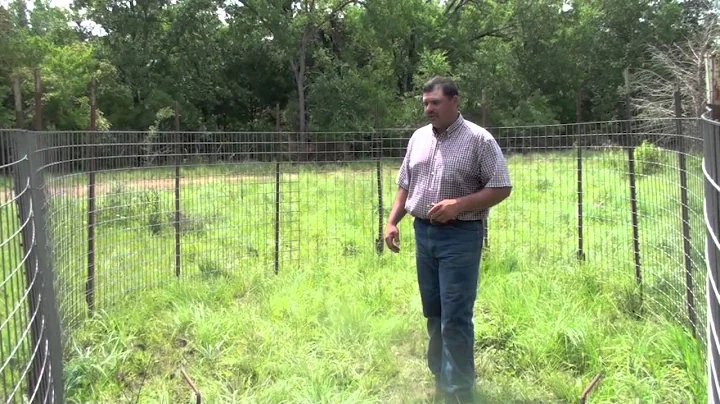 Trapping Feral Hogs: Corral Trap Designs