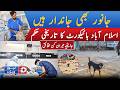Islamabad High Court Bans elimination of Stray Dogs | Big Decision in Pakistan