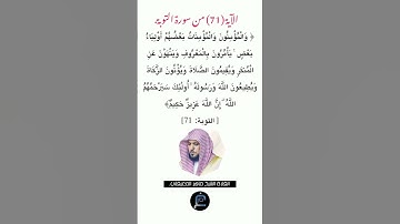 الآية (71)من سورة التوبة // القارئ الشيخ ماهر المعيقلي.
